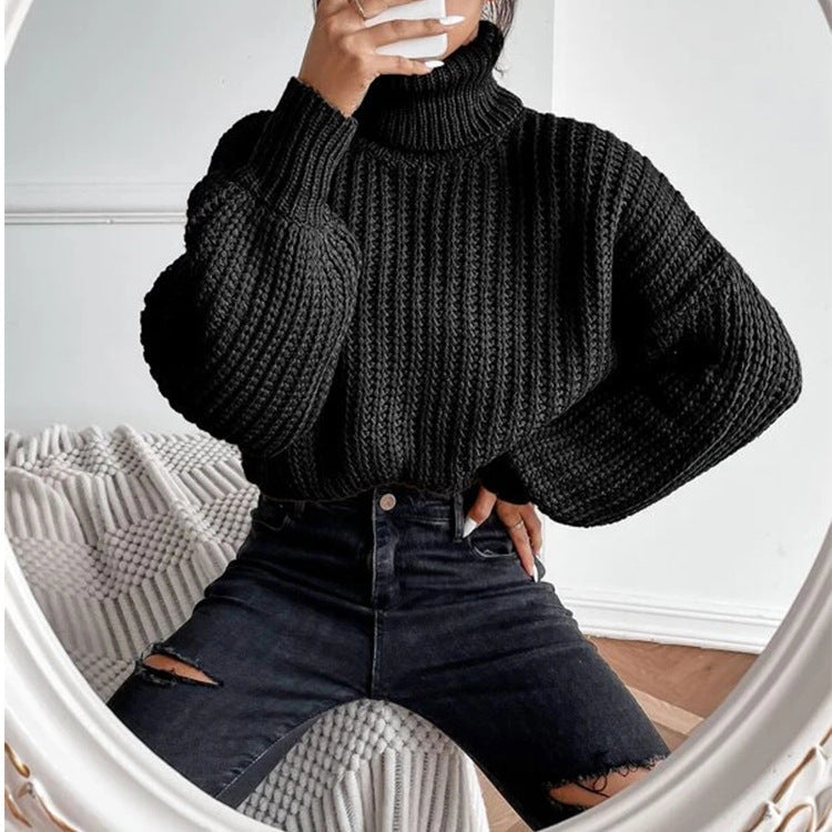 we31 Long Shoulder Knitted Pullover Turtleneck