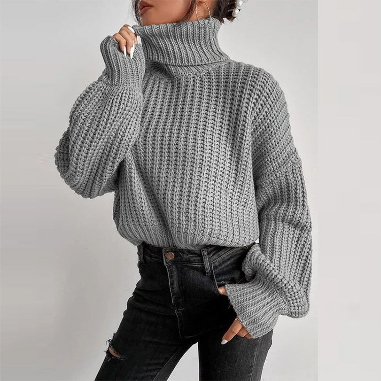 we31 Long Shoulder Knitted Pullover Turtleneck